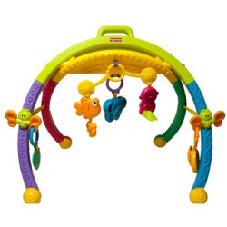 费雪 Fisher-Price 动物互动健身器W9840