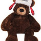 门槛再降：Amazon 2013款 Gund Collectible Bear 泰迪熊