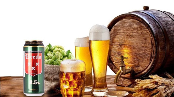 Breda 谷瑞德 Royal 皇室烈性啤酒 500ml*6