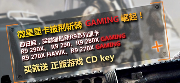微星 AMD R9系列显卡