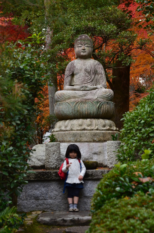 卡口齐备:Sigma 适马 17-50mm/ F2.8 EX DC OS HSM 镜头