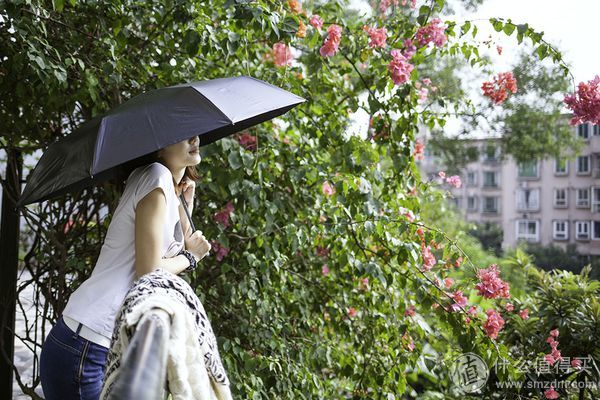 Banana Umbrella Air 碳纤维折叠伞
