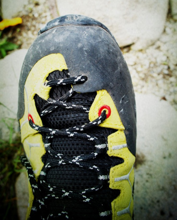 SALEWA 沙乐华 Alp Trainer GTX Shoe 男款低帮户外徒步鞋
