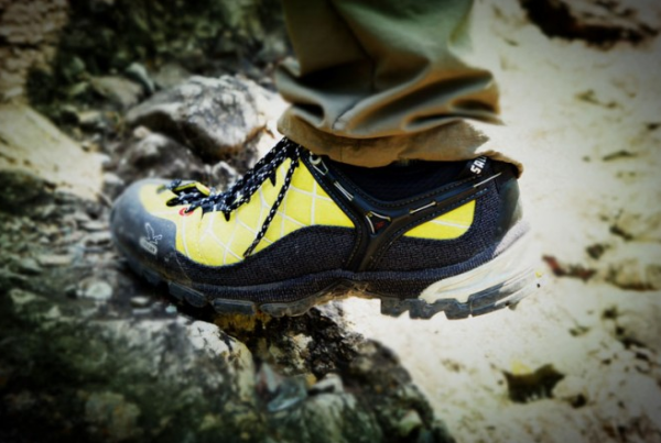 SALEWA 沙乐华 Alp Trainer GTX Shoe 男款低帮户外徒步鞋