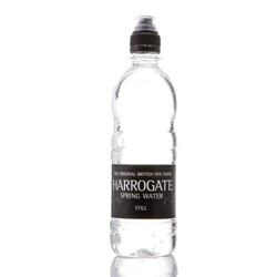 Harrogate 哈罗盖特 天然泉水（运动装） 500ml 