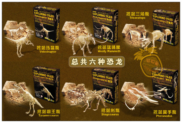 教练,发现化石!Exploring Files 探索档案 恐龙骨架模型玩具