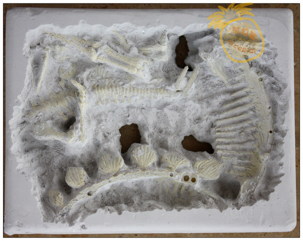 教练，发现化石！Exploring Files 探索档案 恐龙骨架模型玩具