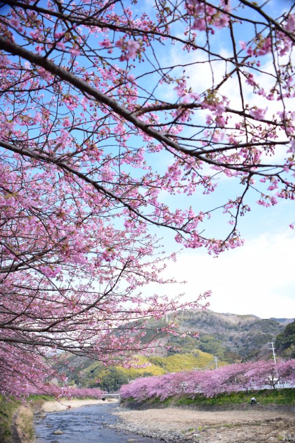 Nikon 尼康 D5300 单反套机（AF-S 18-55mm VR）黑色