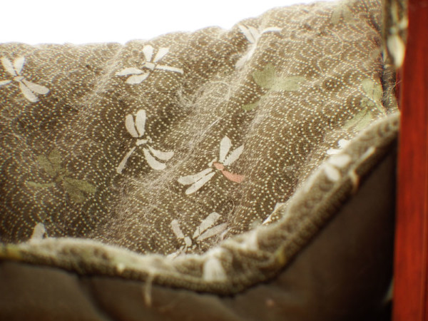 Fujifilm 富士 S1数码相机(50倍变焦、等效24-1200mm、防尘防滴、WiFi)