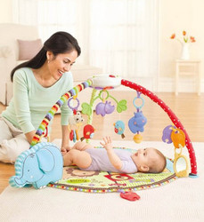 Fisher Price 费雪 Musical Mobile Gym T6339 声光健身器