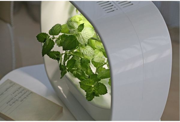 日亚Z秒杀:iiyama 液晶显示器、TANITA 多用途定时器、VEGUNI 水培植物LED灯