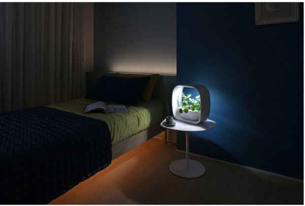 日亚Z秒杀:iiyama 液晶显示器、TANITA 多用途定时器、VEGUNI 水培植物LED灯
