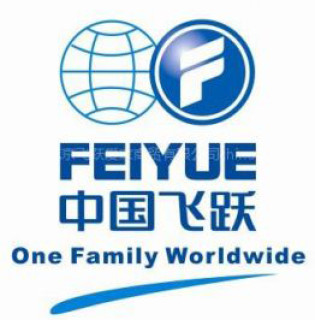 FEIYUE/中国飞跃