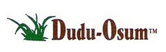 Dudu Osun