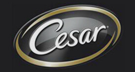 Cesar/西莎