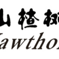 Hawthorn/山楂树