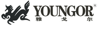 YOUNGOR/雅戈尔