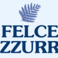 FELCE AZZURRA/蓝蕨