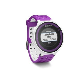 Garmin 佳明 Forerunner 220 GPS心率表