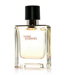 Hermes 爱马仕 大地男士淡香水 100ml