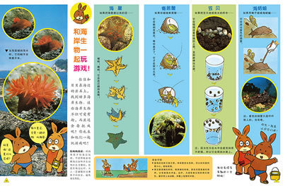 再特价:《幼教三国》(全36册+指导手册)