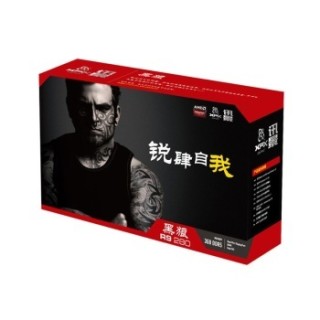 XFX 讯景 R9 280 黑狼 显卡(933/5000MHz 3G/384bit)