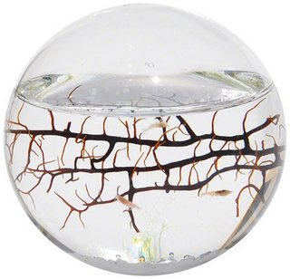 Ecosphere 闭合水世界生态球