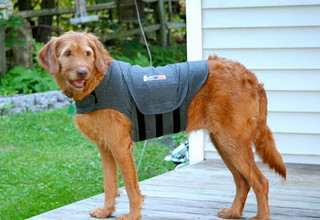 ThunderShirt Dog Anxiety Solution 狗狗安定背心