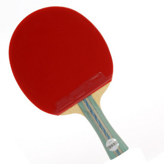 DHS 红双喜 A5002 乒乓球拍