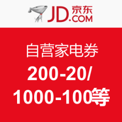 优惠券码：京东 自营家电券（移动端）
