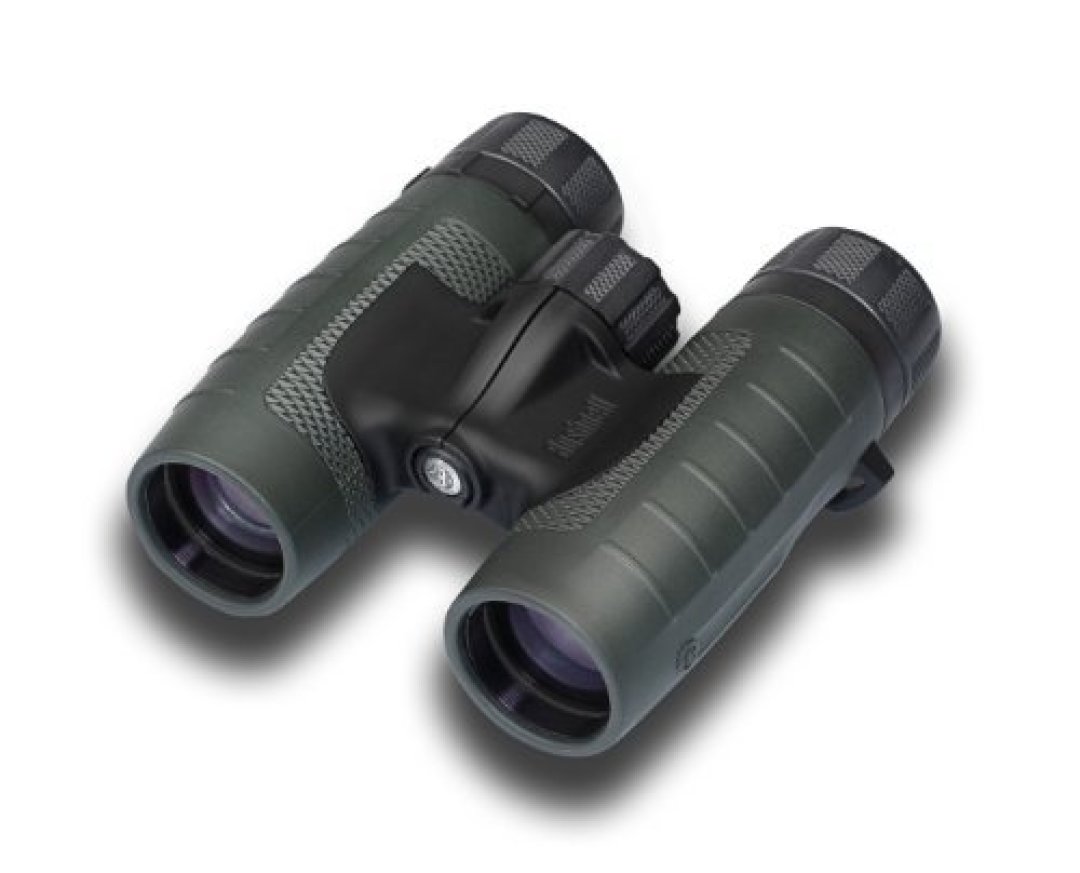 春光无限好:NIKON 尼康 ACULON T01 8x21 双筒望远镜 开箱