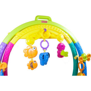 Fisher-Price 费雪 W9840 动物互动健身器