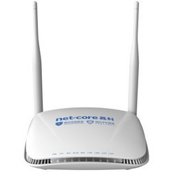 Netcore 磊科 Q3 300M 无线安全路由器