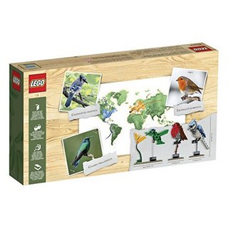 LEGO 乐高 iDEAS系列 21301 Birds Model Kit 鸟类模型