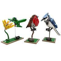 LEGO 乐高 iDEAS系列 21301 Birds Model Kit 鸟类模型