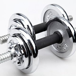 KANSOON 凯速 10KG级 家用电镀哑铃