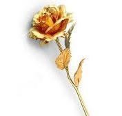Lightahead 24k Gold Rose Foil Flowers 24k金箔玫瑰