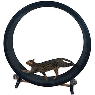 ONE FAST CAT Cat Exercise Wheel 喵星人运动圈