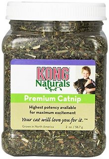 KONG Naturals Premium Catnip 天然猫薄荷
