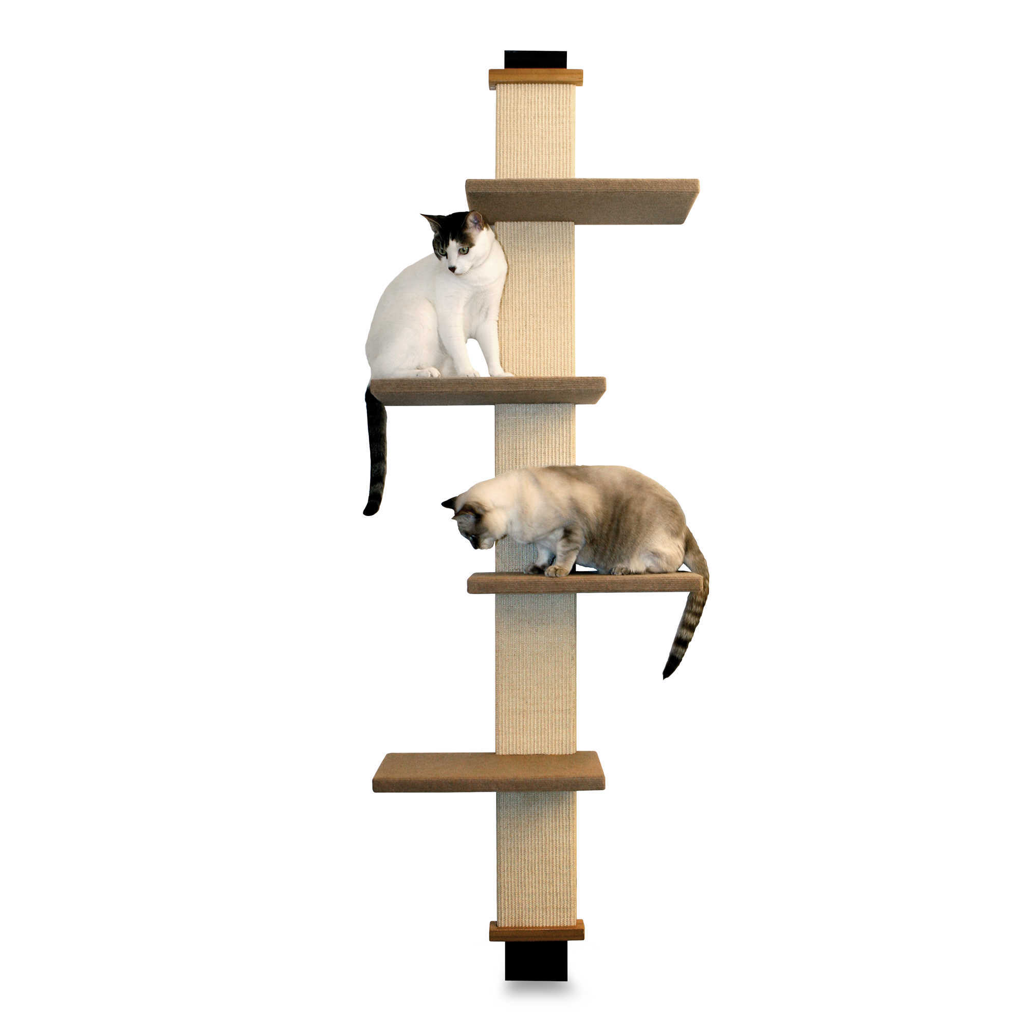 smartcat multi-level cat climber 多层猫爬架