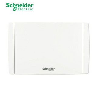 Schneider Electric 施耐德 天翼暗装16回路 家用配电箱 