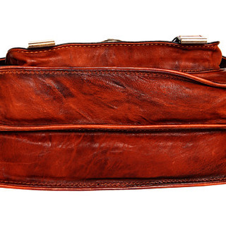 FRYE Cameron Small Satchel 女款真皮斜挎包 Burnt Red