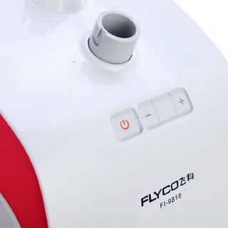 FLYCO 飞科 FI9810 五档蒸汽挂烫机