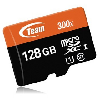 Team 十铨 300x microSDXC存储卡（128GB、USH-I）