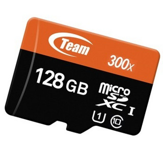 Team 十铨 300x microSDXC存储卡（128GB、USH-I）