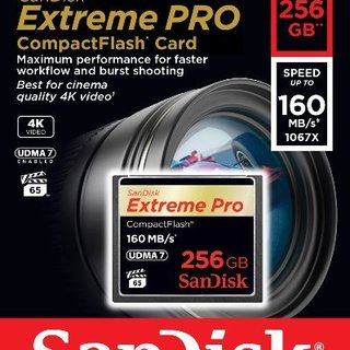  闪迪 Sandisk  至尊超极速 Extreme PRO 256GB CF存储卡