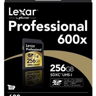 Lexar 雷克沙 Professional 600x SDXC存储卡（256GB、UHS-I）