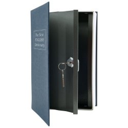 Trademark Home Dictionary Diversion Book 金属字典型保险箱