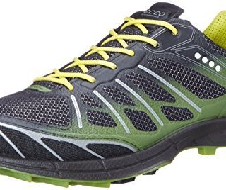 ecco 爱步 Biom 男款越野跑鞋