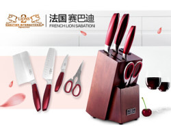 LION SABATIER 赛巴迪 刀具五件套  